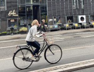 SkÄ…d pochodzi rower